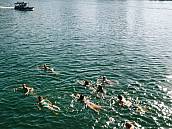 Eine Gruppe schwimmt im Rhein